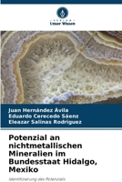 Potenzial an nichtmetallischen Mineralien im Bundesstaat Hidalgo, Mexiko (German Edition) 6209075827 Book Cover