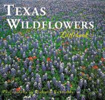 Texas Wildflowers 1565791436 Book Cover