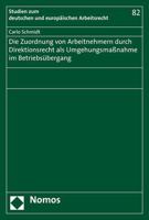 Die Zuordnung Von Arbeitnehmern Durch Direktionsrecht Als Umgehungsma?nahme Im Betriebs?bergang 3848765535 Book Cover