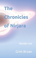 The Chronicles of Nirjara: Wonder one B0DWKR32W4 Book Cover