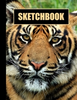 Sketchbook: Tiger Cover Design - White Paper - 120 Blank Unlined Pages - 8.5" X 11" - Matte Finished Soft Cover 1704018544 Book Cover