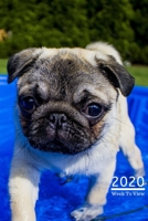 A5 2020 Diary Week To View Paperback Cover With Alternative Design: Puppy Pug Love 2020 Diary Cover, Year Planner For Business, Office, Home, University, College, School, Appointments, Organizer. 1692601687 Book Cover