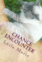 Chance Encounter: The Journey Emerald's Travels 1546673768 Book Cover