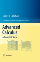 Advanced Calculus: A Geometric View 1441973311 Book Cover