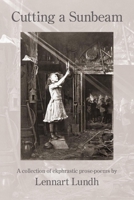 Cutting a Sunbeam: A collection of ekphrastic prose-poems 1639802371 Book Cover