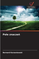 Pole znaczen (Polish Edition) 6202208287 Book Cover
