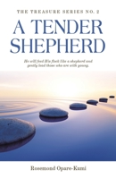 A Tender Shepherd: He Will Feed His Flock Like a Shepherd and Gently Lead Those Who Are with Young. 1543763278 Book Cover