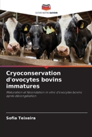 Cryoconservation d'ovocytes bovins immatures (French Edition) 6209919847 Book Cover