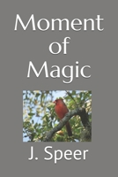 Moment of Magic B08YQCQHTZ Book Cover