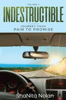 Indestructible: Journey from Pain to Promise 1719916381 Book Cover