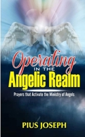 Operating in the Angelic Realm: Prayers that Activate the Ministry of Angels B08GFX5PFG Book Cover