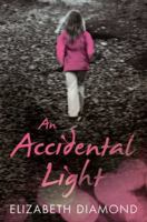 An Accidental Light 1590513010 Book Cover
