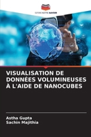 Visualisation de Données Volumineuses À l'Aide de Nanocubes (French Edition) 6208053919 Book Cover