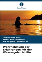 Wahrnehmung der Erfahrungen mit der Wassergeburtshilfe 620642328X Book Cover