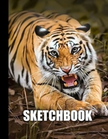 Sketchbook: Tiger Cover Design White Paper 120 Blank Unlined Pages 8.5 X 11 Matte Finished Soft Cover 1704364787 Book Cover