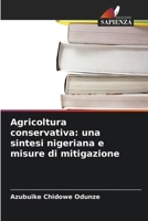 Agricoltura conservativa: una sintesi nigeriana e misure di mitigazione (Italian Edition) 6209582036 Book Cover