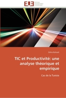 Tic Et Productivita(c) Une Analyse Tha(c)Orique Et Empirique 3841795196 Book Cover
