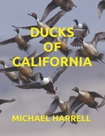 DUCKS OF CALIFORNIA (Wildlife of North America) B0CHL7RXDD Book Cover