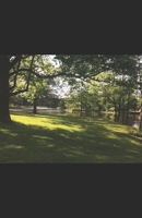 The Mystery of the Disappearing Village B08CPDL7XG Book Cover