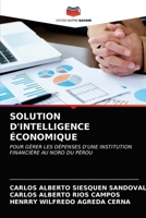 Solution d'Intelligence �conomique 6203362719 Book Cover