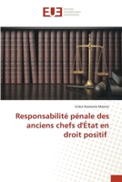 Responsabilité pénale des anciens chefs d'État en droit positif (French Edition) 6203454966 Book Cover
