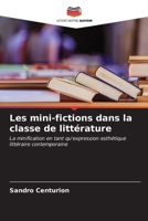 Les mini-fictions dans la classe de littérature (French Edition) 6207052854 Book Cover