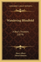 Wandering Blindfold: A Boy's Troubles 1437362516 Book Cover
