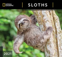 National Geographic Sloths 2021 Wall Calendar 1772185094 Book Cover