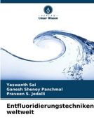 Entfluoridierungstechniken weltweit (German Edition) 6209520626 Book Cover