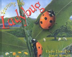 Starting Life: Ladybug (Starting Life) 1559718927 Book Cover