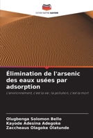 Élimination de l'arsenic des eaux usées par adsorption (French Edition) 6630306244 Book Cover