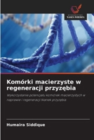 Komórki macierzyste w regeneracji przyzebia (Polish Edition) 6630200756 Book Cover