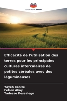 Efficacité de l'utilisation des terres pour les principales cultures intercalaires de petites céréales avec des légumineuses (French Edition) 6209395309 Book Cover