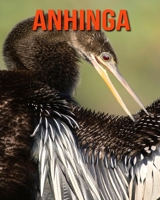 Anhinga: Amazing Facts & Pictures B08KH97N6J Book Cover