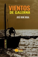 Vientos de galerna (Spanish Edition) B0CSWCQGNK Book Cover