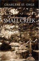 Reckonings at Small Creek 1424144736 Book Cover