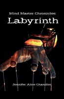 Mind Master Chronicles: Labyrinth B0C382YCQP Book Cover