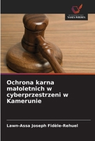 Ochrona karna maloletnich w cyberprzestrzeni w Kamerunie 6208825245 Book Cover