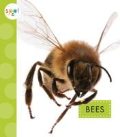 Bees 1681522241 Book Cover