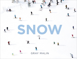 Gray Malin: Snow 1419791788 Book Cover
