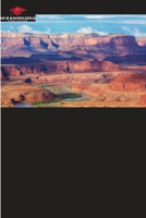 Stabilization of ore quality for supply to the process 620690430X Book Cover
