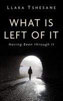 What Is Left of It: Having Been through It 1666757659 Book Cover