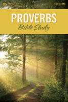 Proverbs Bible Study (Rose Visual Bible Study Series) 162862860X Book Cover