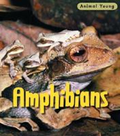 Amphibians 1403492417 Book Cover