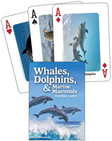 Whales, Dolphins, and Marine Mammals Playing Cards 1647555345 Book Cover