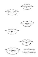 Makeup Lipcharts 1544606133 Book Cover