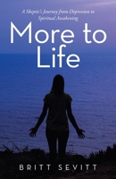 More to Life: A Skeptic’s Journey from Depression to Spiritual Awakening 1982257709 Book Cover