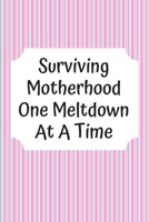 Surviving Motherhood One Meltdown At A Time: Baby's Daily Log Book To Track & Record Sleep, Breastfeeding, Diapers of Newborn Babies: Perfect Gift For New Mothers & Nannies 1697202489 Book Cover