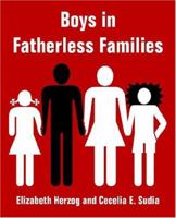 Boys in Fatherless Families 1410216950 Book Cover