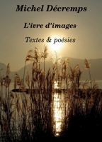 L'Ivre d'images (French Edition) B0FSCG33QZ Book Cover